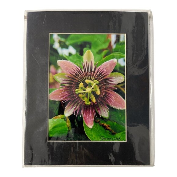 Passion Flower Photography Print – Signed Staci Lewis White - Picture 1 of 4